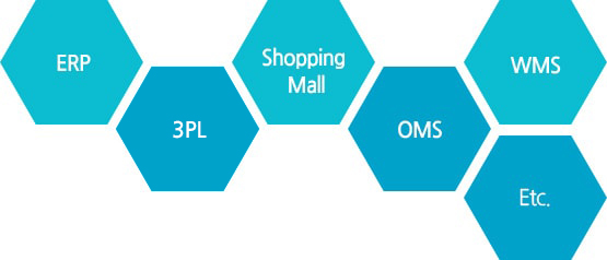 ERP, 3PS, Shopping Mall, OMS, WMS, Etc..